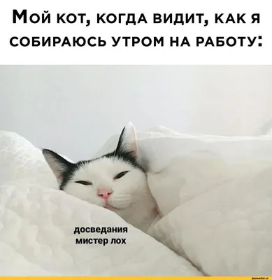 Доброе утро! Ура! Пора на работу! …» — создано в Шедевруме