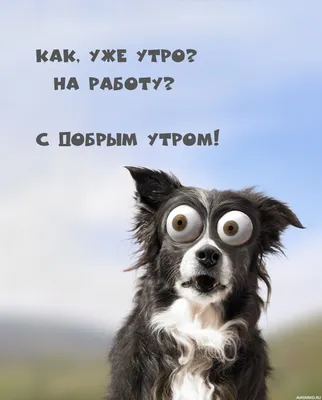 как я прихожу каждое утро на работу｜TikTok Search