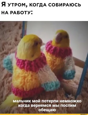 Счастье — это когда утром хочется на работу, а вечером — домой... |  Последний романтик | Дзен
