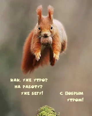 Воскресенье подходит к концу и завтра — на работу. 🤝 Давайте же сегодня  ляжем спать пораньше, 💪 чтобы утром чувствовать.. | ВКонтакте
