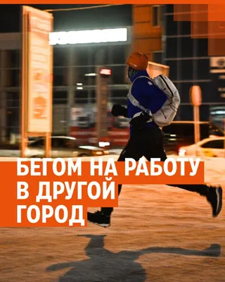 Бурый медведь едет утром на работу…» — создано в Шедевруме