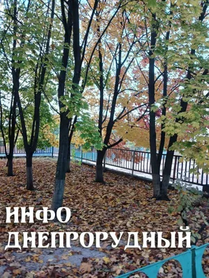 И утром опять на работу 🤣 | Instagram