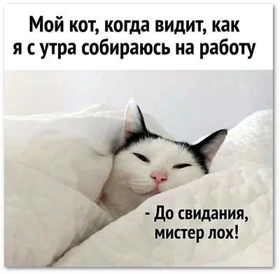 Скорей бы утро и снова на работу – trendaeurope
