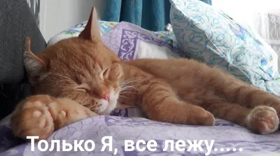 Картинка работа утро (43 фото) » Юмор, позитив и много смешных картинок