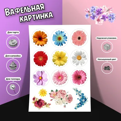 Вафельная картинка для торта и десертов формата А4 / цветы, 8 марта, весна,  для женщины - купить с доставкой по выгодным ценам в интернет-магазине OZON  (875960893)