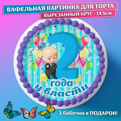 ПеКу | КАПКЕЙКИ | ТОРТЫ | ТРАЙФЛЫ | МИНСК (@peku_minsk) • Фото и видео в  Instagram в 2023 г | Торт трайфл, Торт, Детский торт