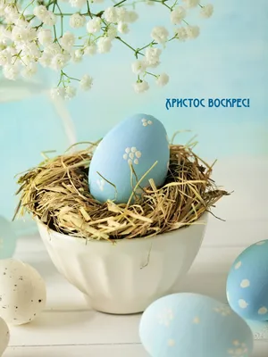 Пасхальные картинки для торта pasha0054 на сахарной бумаге |  Edible-printing.ru