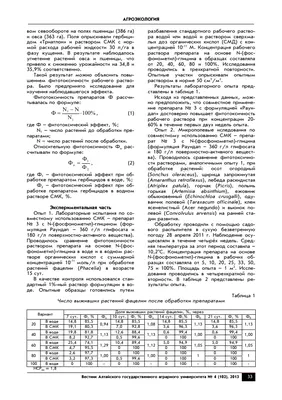 WEBP картинки Валерии Немченко: компактный формат для быстрой загрузки