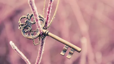 Обои для компьютера пинтерест уютные - фото и картинки abrakadabra.fun