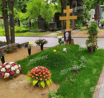 Гифки с Василием Лановым