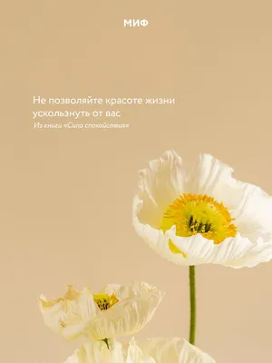 Вдохновляющие обои с календарями на праздничный июнь 2021 года - Блог  издательства «Манн, Иванов и Фербер»