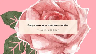 Обои для рабочего стола от Passion.ru: апрель 2022 - Страсти