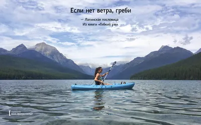 Издательство МИФ on X: \"Друзья, подготовили для вас семь вдохновляющих  обоев на август, которые вы можете скачать и установить себе на рабочий стол,  планшет или экран смартфона — https://t.co/JVZtxHWzAf  https://t.co/f3nAZAA9gt\" / X