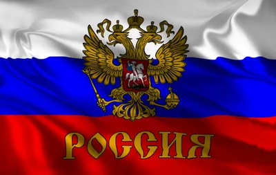 Обои вдв на рабочий стол » Прикольные картинки: скачать бесплатно на рабочий  стол