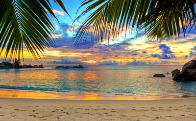 2160x3840 Обои море, закат, прибой, волны, небо | Beach sunset wallpaper,  Sky aesthetic, Sunset pictures