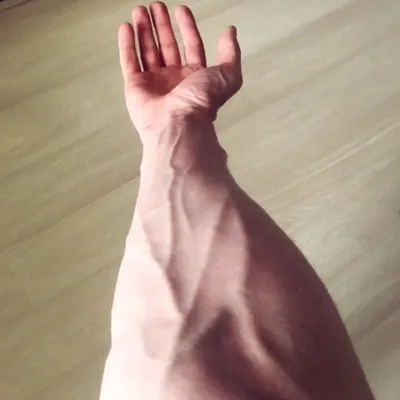veins on the hand, aesthetics, вены на руке, эстетика | Эстетика,  Фотографии отношений, Мужское тело