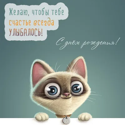 Игра со сценарием праздника серии Веселая тамада \"День Рождения\"