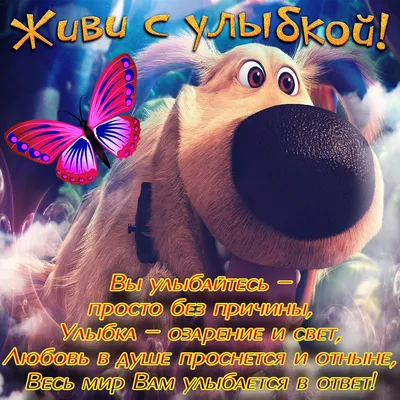 Прикольные картинки с юмором на каждый день (20 картинок) от 11 февраля  2020 | Екабу.ру - развлекательный портал