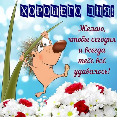 Прикольные картинки с днем рождения с веселыми надписями и шутками |  Смешные открытки, С днем рождения, Открытки