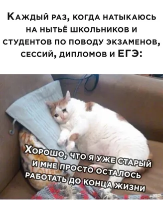 Смешные картинки, веселые и колкие комментарии пользователей социальных  Сетей