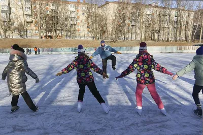 Поздравления на каждый день прикольные - 74 фото