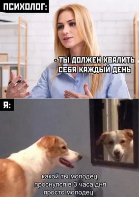 Щенкам нужен дом !! Два мальчика , возраст около полугода ! Весёлые малыши  ))) живут в поле , кушает не каждый день ! Ищем отвтетственного… | Instagram