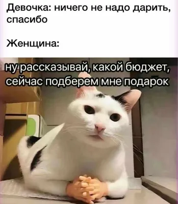 Пин от пользователя Анастасия на доске На каждый день | Веселые картинки,  Вдохновляющие цитаты, Картинки
