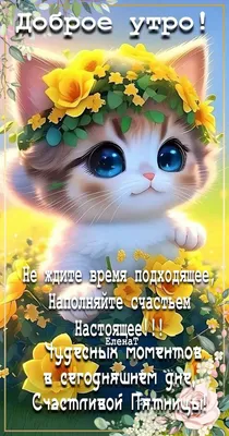 50 шт., забавные Веселые наклейки в виде кота и звезд для телефона,  канцелярские принадлежности, стеклянные принадлежности для скрапбукинга,  милые наклейки | AliExpress