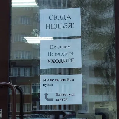 Самые новые прикольные и ржачные картинки