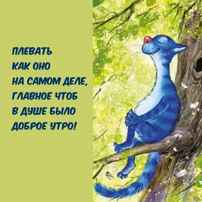 Смешные и прикольные советы на каждый день