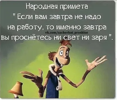 Смешные мемы фразы на каждый день мем с котами подруги переписки с парнем  storis открытка трендс | Смешные мемы, Мемы, Смешные шутки