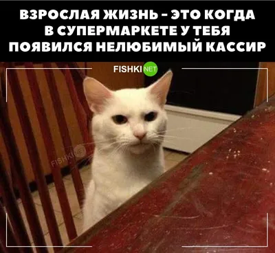 Открытки и картинки спокойной ночи прикольные