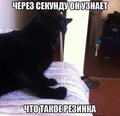 Иллюстрация 12 из 25 для Веселые часы. День - ночь, зима - лето. Для детей  1-2 лет -