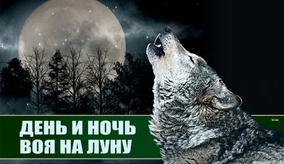 Прикольные открытки \"Спокойной ночи!\" (229 шт.)