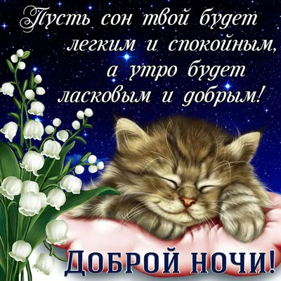 Прикольные картинки с надписями и \"Спокойной ночи малыши\" | Mixnews