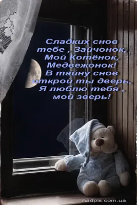 Гейдар Джемаль. Окно в Ночь : Free Download, Borrow, and Streaming :  Internet Archive