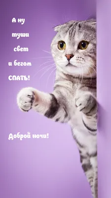 https://shedevrum.ai/post/353013f7affe11eebec94a50f1b511f1/