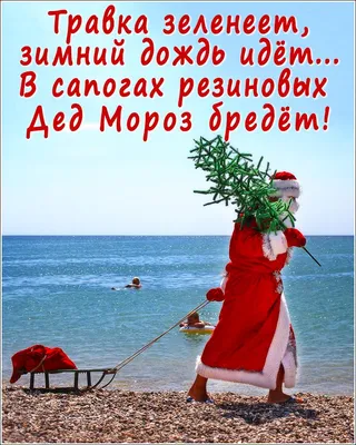 Поздравления с Новым годом 2021 - прикольные и веселые открытки, картинки,  стихи - Апостроф
