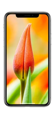 10 весенних обоев для iPhone