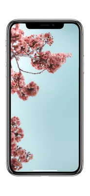 Wallpaper iPhone beautiful tulips ⚪️ | Beautiful flowers, Flowers  photography, Tulips flowers