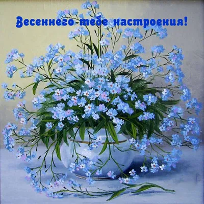 Красивые обои весенние цветы на рабочий стол - подборка
