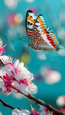 Обои коллекция InBloom арт.7218 \"Весенние цветы\" флизилиновые обои купить в  Иркутске