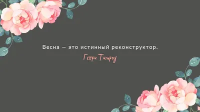 Обои на телефон — весна ТОП-100 | Zamanilka