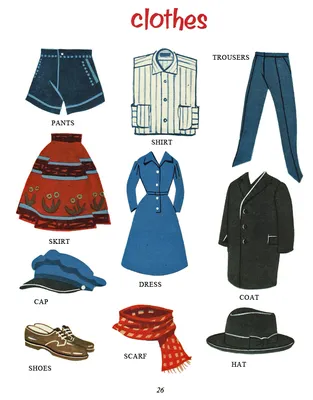Игра-домино по теме Одежда (Clothes) - Слова по теме Одежда на английском  Цветные картинки на картоне – фото, отзывы, характеристики в  интернет-магазине ROZETKA от продавца: УчбоваХата | Купить в Украине:  Киеве, Харькове,