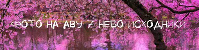 Красивые картинки про март с надписями - самые удивительные