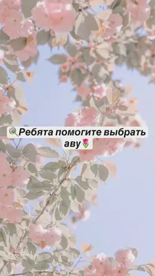 Красивые обои весна - 59 фото