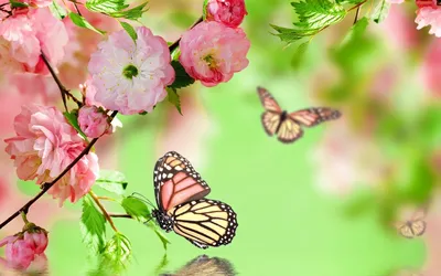 🍭Ребята помогите выбрать аву🌷 в 2023 г | Ребята