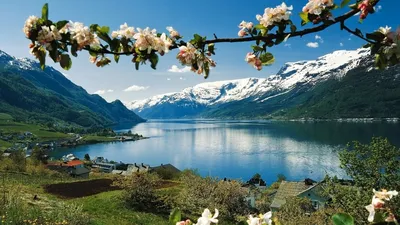 Обои Природа Парк, обои для рабочего стола, фотографии природа, парк, весна,  клумбы, тюльпаны Обои для рабочего стола, скачать обои картинки заставки на  рабочий стол.