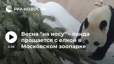 Картинки весна на носу (61 фото) » Картинки и статусы про окружающий мир  вокруг