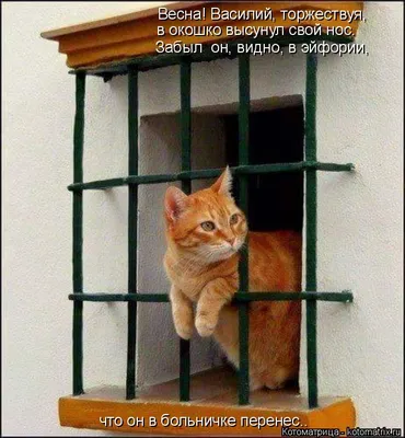 Ангел \"Весна на носу\" купить в интернет-магазине Ярмарка Мастеров по цене  1500 ₽ – HUSYBRU | Куклы и пупсы, Калининград - доставка по России | Весна,  Ангел, Куклы